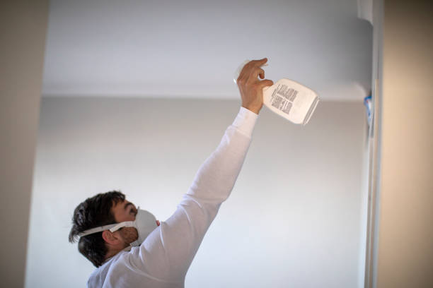 Best Attic Mold Removal  in Havana, FL